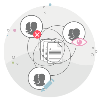 Feature user rights