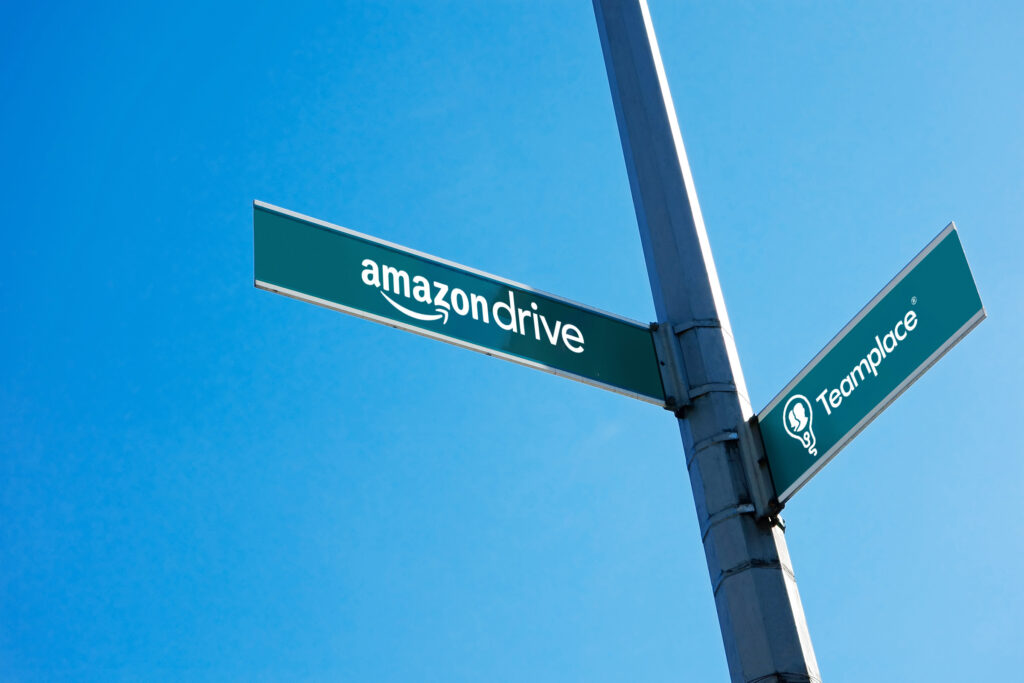 Amazon Drive Alternative is Teamplace
